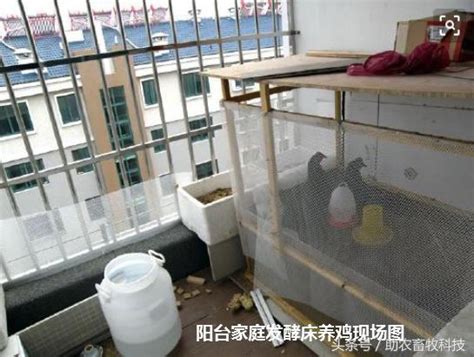 光輝養雞器具